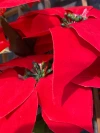 Factory direct sales, best-selling items, essential for interior decoration and wedding supplies made of poinsettias fabric Specification image